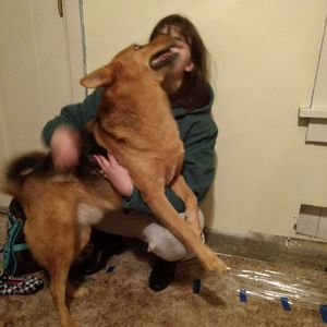 Meet your Posher, Cindy